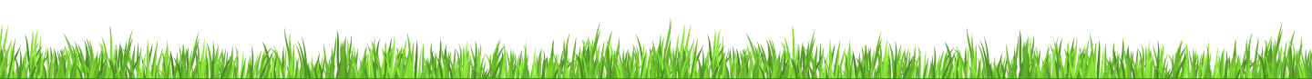 Grass Divider